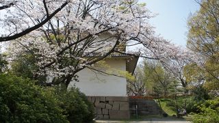 ニの丸の南面、南外堀の内側城壁