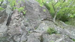 梅とハイキングとクライミング