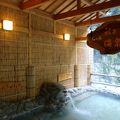 日本三大秘境の絶景を眺めながらの炭酸泉