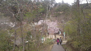 トンネル・神社など変化にとんだ散策が楽しめます