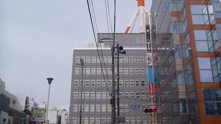 大きなアンテナ