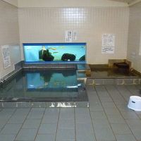 温泉は内風呂のみ