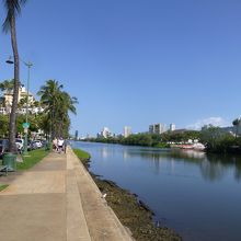 朝の散歩にお勧めです