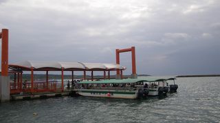 ジャングル？のクルージングが楽しめます