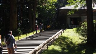 ガラス張りの中に展示されている金色堂