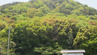 ミニ八十八か所