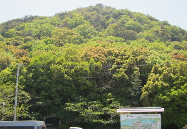 ミニ八十八か所