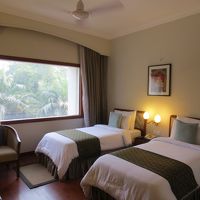 外は緑がいっぱい