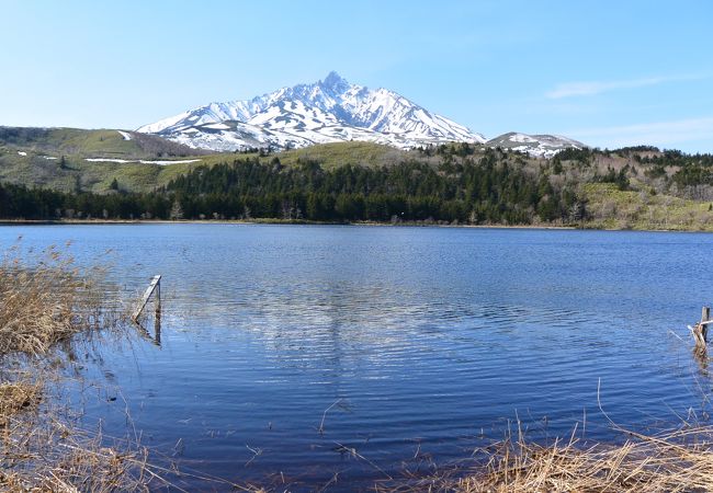 油絵 青嵐の利尻岳（オタトマリ沼)Ｆ3 北海道の湖沼