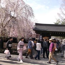 昔の娘も和服を楽しむ