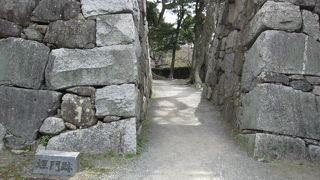 大河ドラマで話題の福岡城