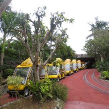 パイナップル号。並んでます。。