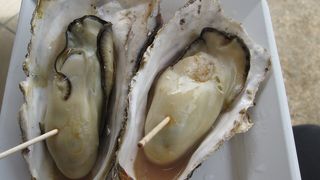 焼きかきを食べよう