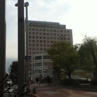 背が高いので探しやすい