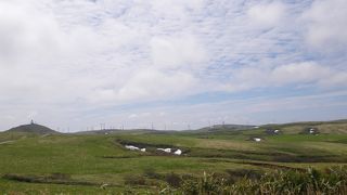 珍しい氷河地形