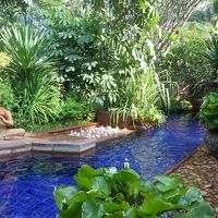 リゾート感たっぷりなプール