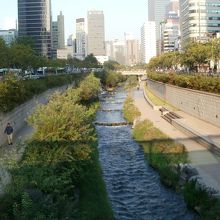 早朝の風景です。明洞周辺です。