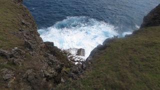 飛行機と一緒の与那国馬を撮影なんてこともできそうです