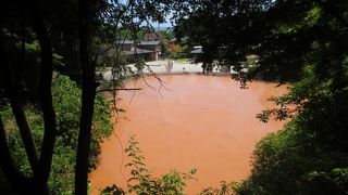 最近はあまり赤くならないんだとか・・・