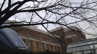 大人も子供も楽しめる。