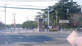 緑豊かな公園です
