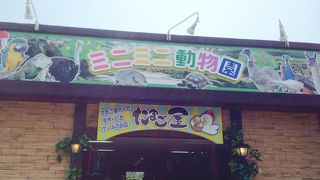 ミニミニではない動物園。