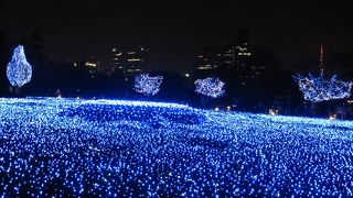 とてもきれい！