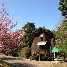 近江富士花緑公園　ロッジ