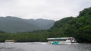 西表島観光で最も人気がある観光ルート