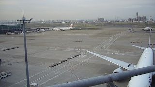 春は気持ちよい眺望スポット