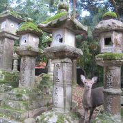 奈良東部に広がる神の森