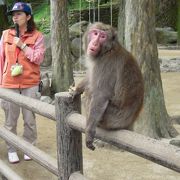 別府湾のすぐ近くです