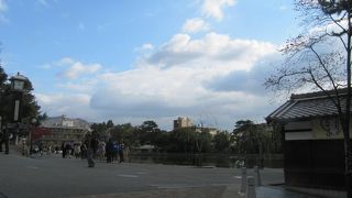 興福寺五重塔が写る