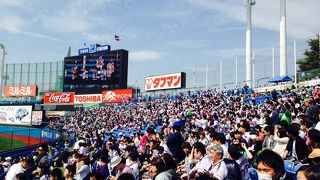 野球は神宮が1番。