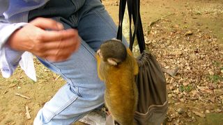 古民家を中心とした野外博物館