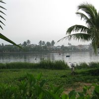 客室からの眺め