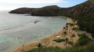 気軽にシュノーケル