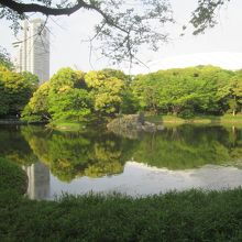 庭園中央には大きな「大泉水」があります