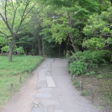 中国風の石畳「延段」に沿って散策開始