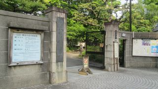 高低差は、御年配の方には辛いかと…