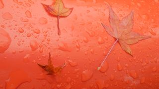 紅葉【河鹿橋】駐車場とトイレ