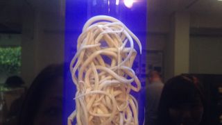 マニアックすぎる博物館