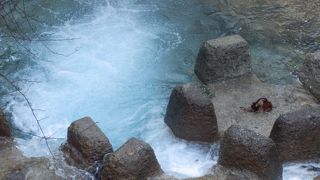 透明感あふれる四万川