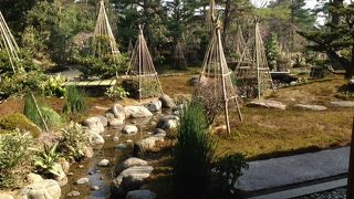 広い日本庭園です