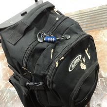 被害に遭ったキャリー