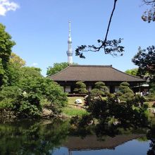 スカイツリーと伝法院