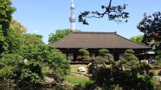 やっと入れたあこがれの庭園