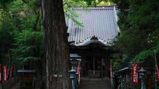 広々とした自然が感じられる公園