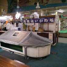 イか釣りはお休み