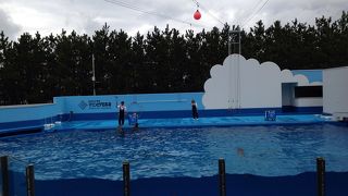 綺麗にリニューアルされてました。